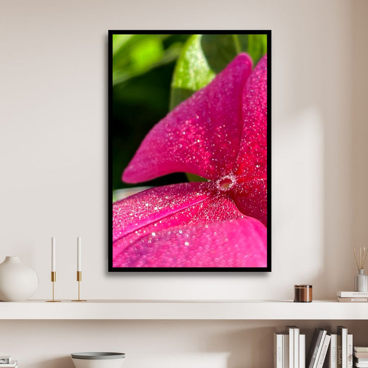 Dew On Impatiens Flowers Photography Art - Designity Art