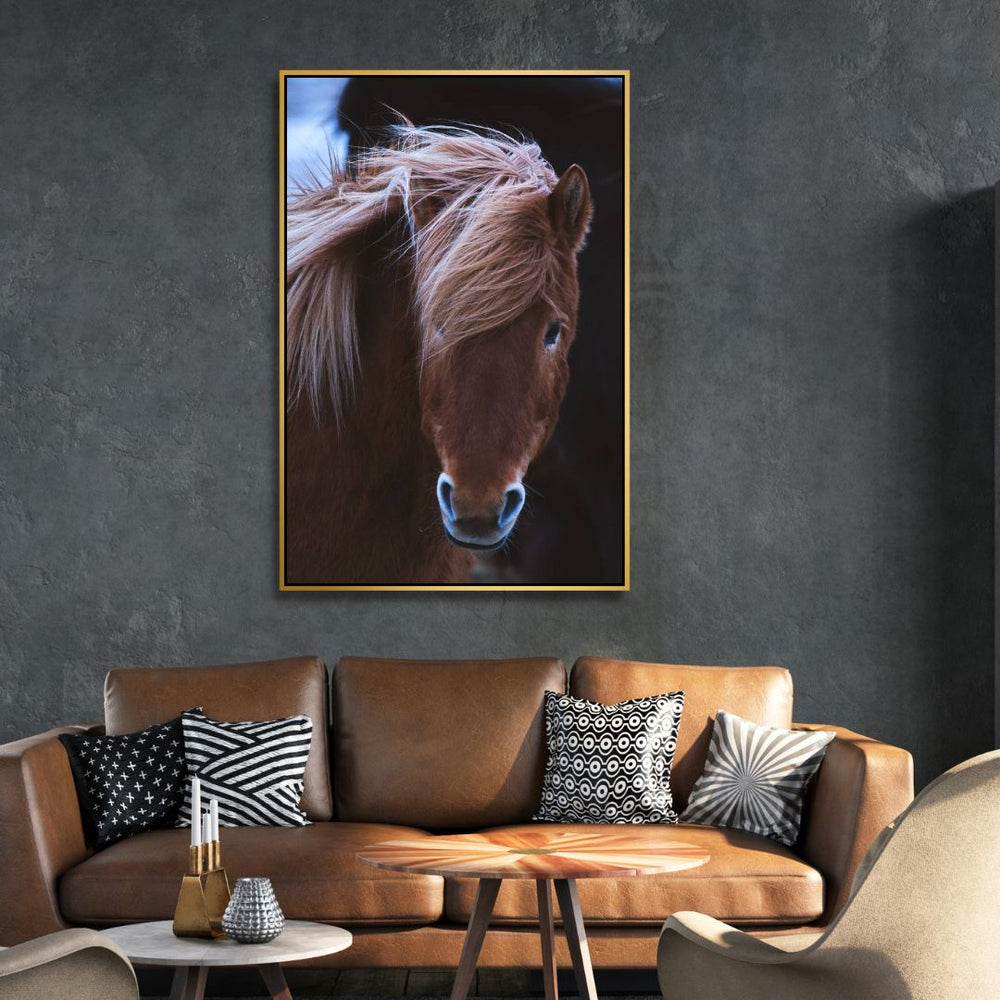 "The Horse" Photography Art - Designity Art