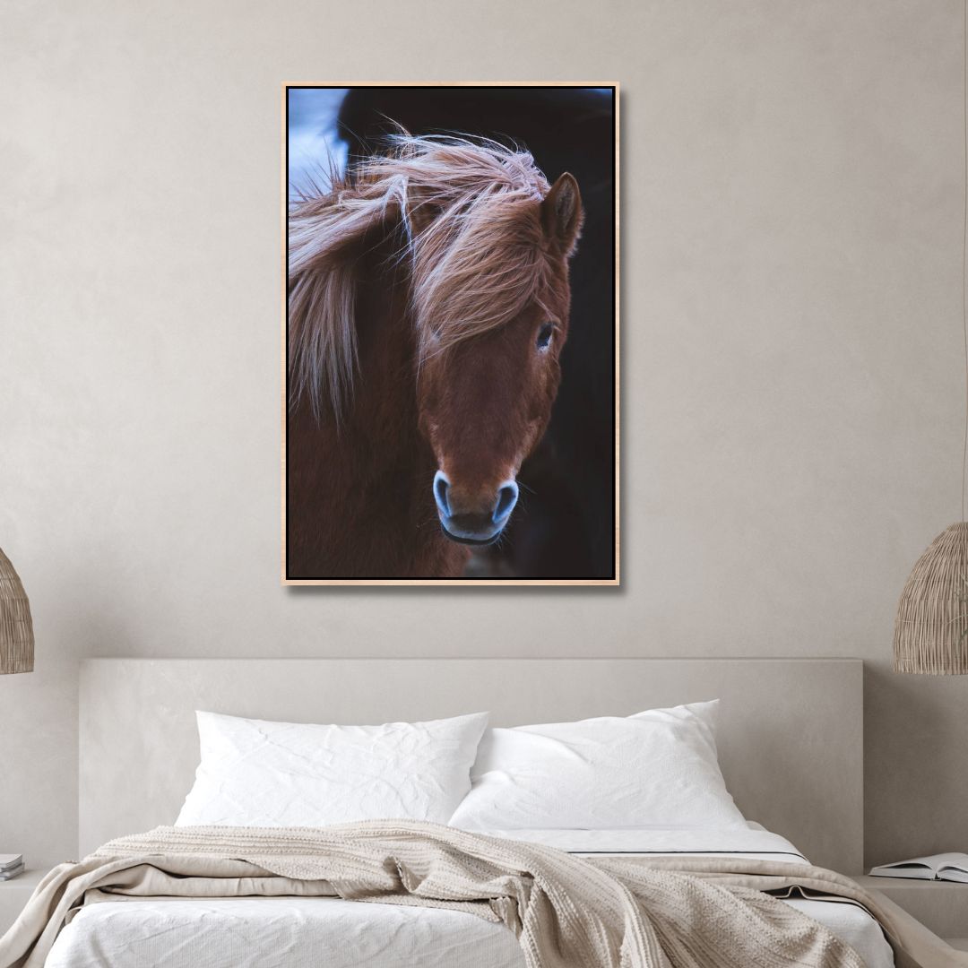 "The Horse" Photography Art - Designity Art