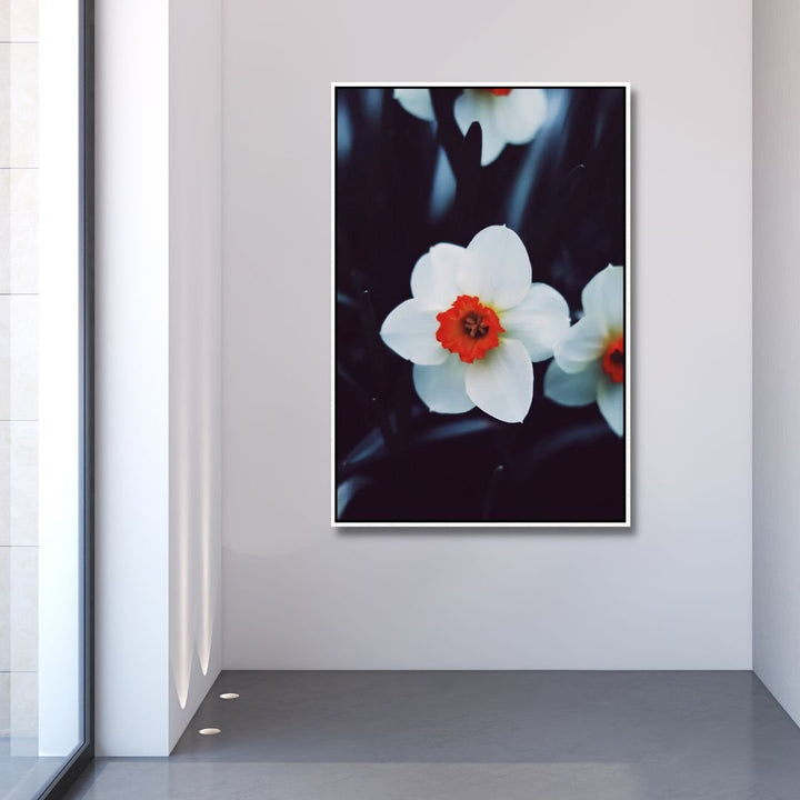 White Flower Photography Art - Designity Art