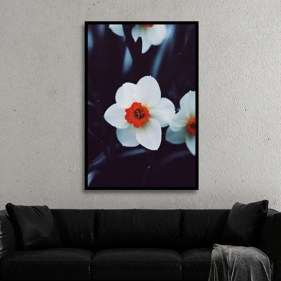 White Flower Photography Art - Designity Art