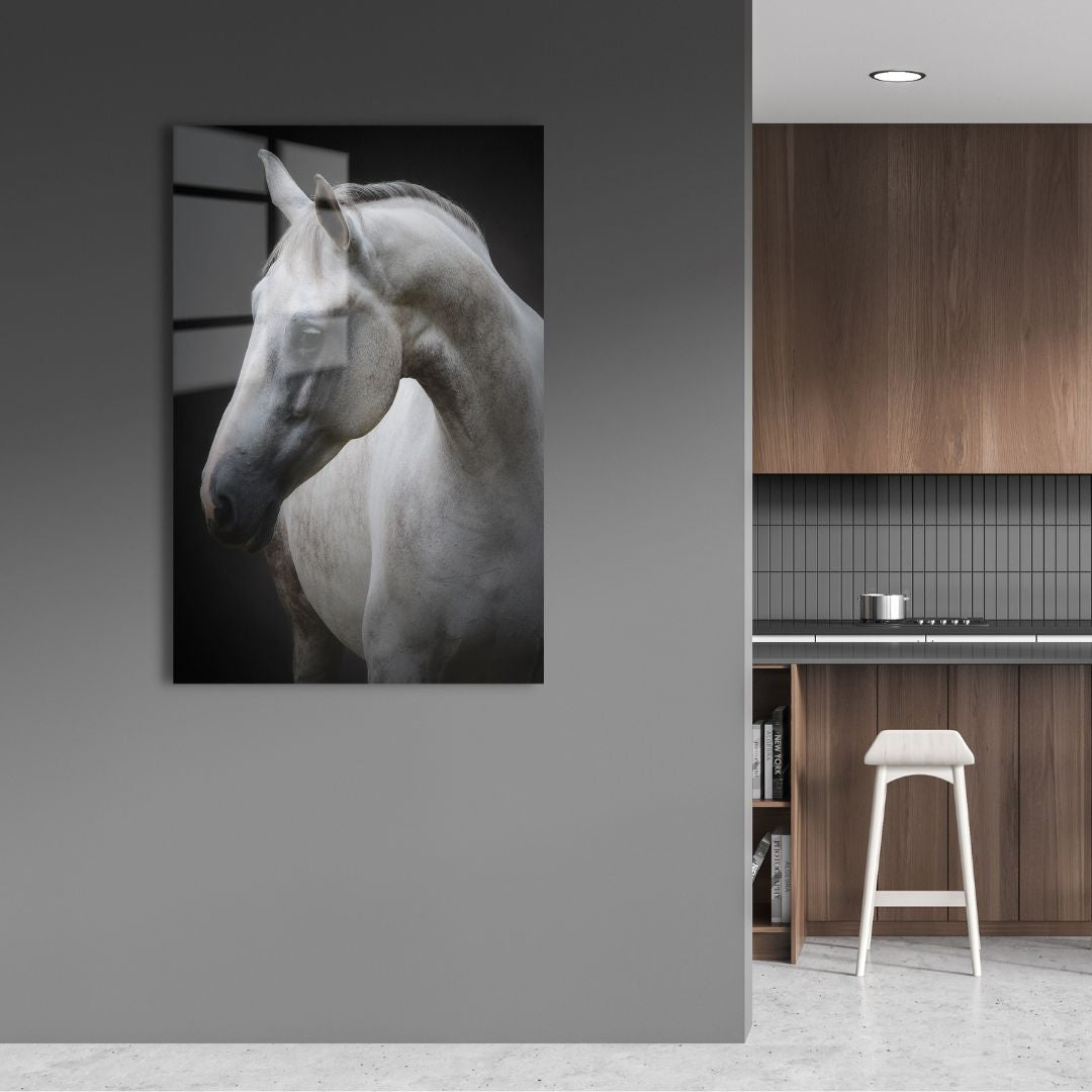 White Horse Portrait Acrylic Glass Wall Art - Designity Art