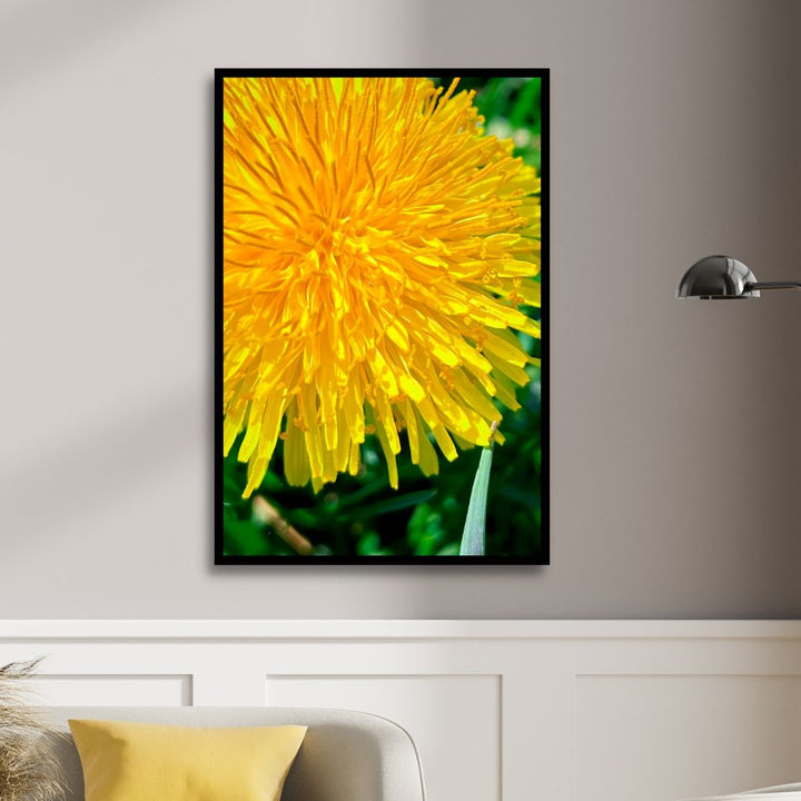 Yellow Dandelions Photography Art - Designity Art