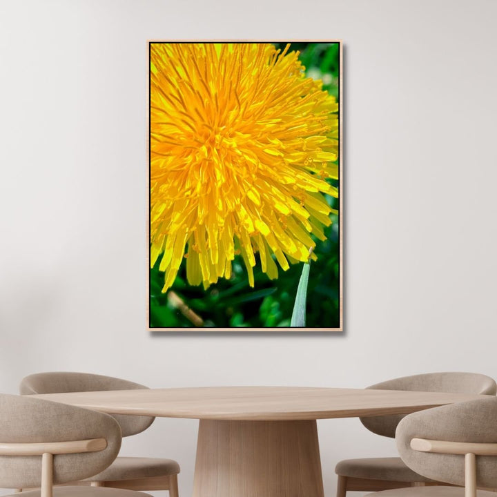 Yellow Dandelions Photography Art - Designity Art